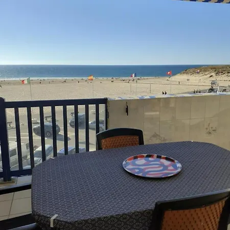 Les Goelands De L'ocean *