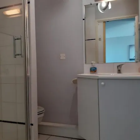 Les Goelands De L'ocean *