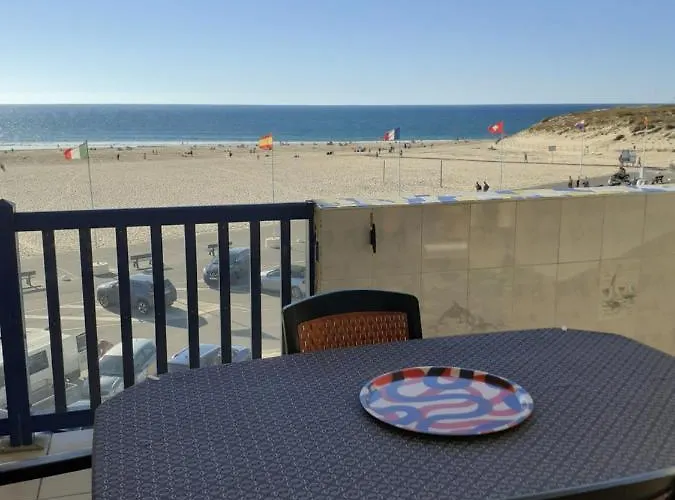 Les Goelands De L'ocean *