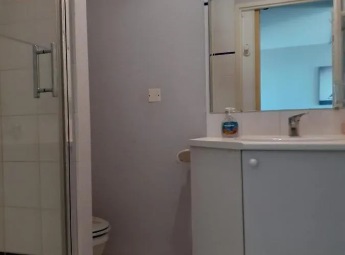 Les Goelands De L'ocean *