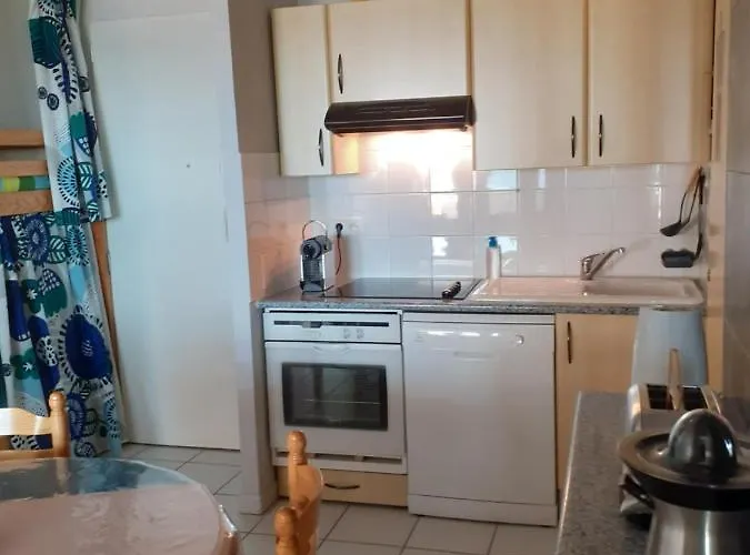 Les Goelands De L'ocean *